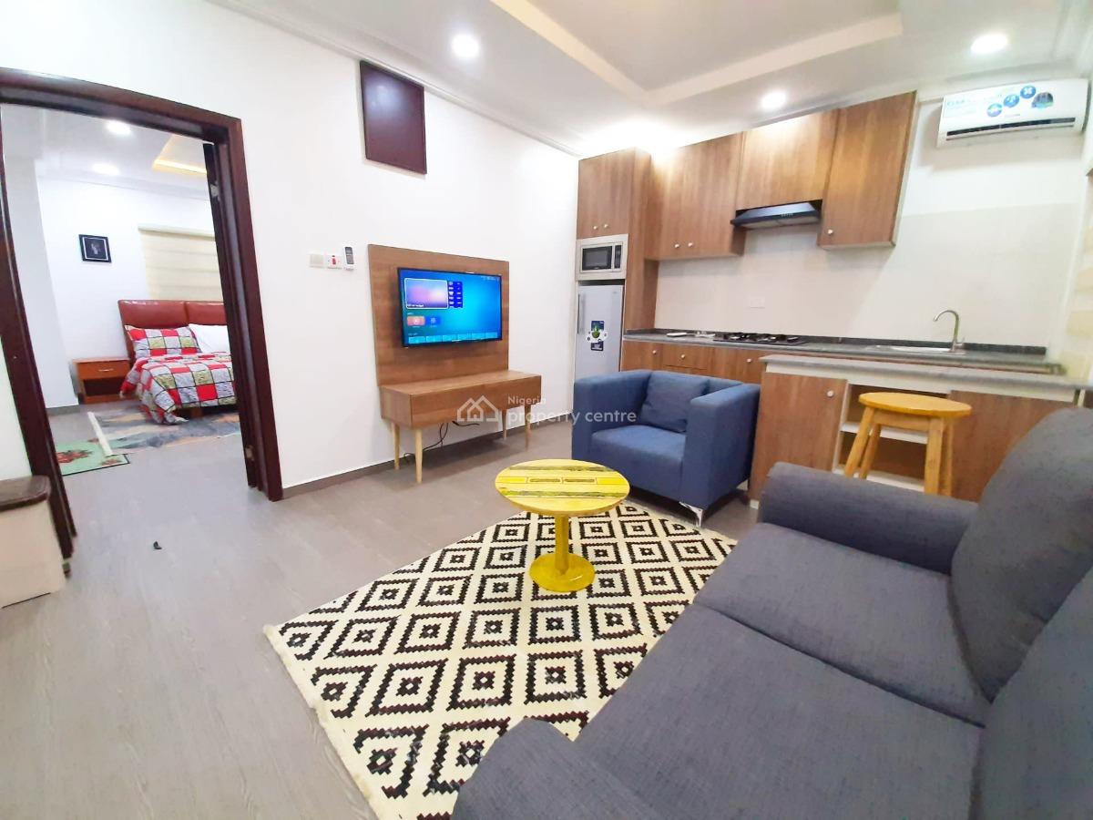 Nicely Furnished 1 Bedroom Apartment, Wuse 2, Abuja, Mini Flat (room and Parlour) Short Let
