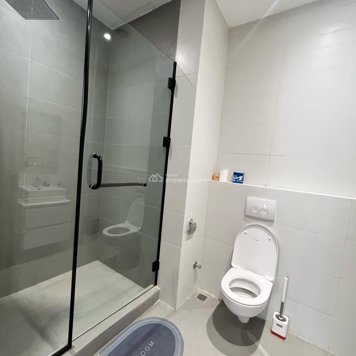 Fully Furnished 2 Bedroom Apartment with Gym, Old Ikoyi, Ikoyi, Lagos, Flat / Apartment for Rent