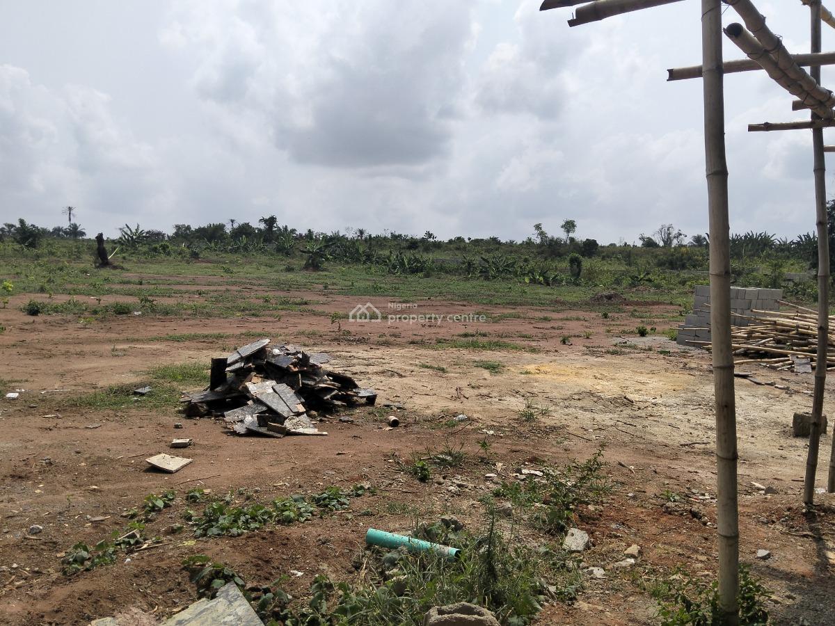 Land with C of O Inview Suitable for Residential, Emirates Parks and Gardens, Near Rccg Redemption Camp,, Mowe Ofada, Ogun, Residential Land for Sale