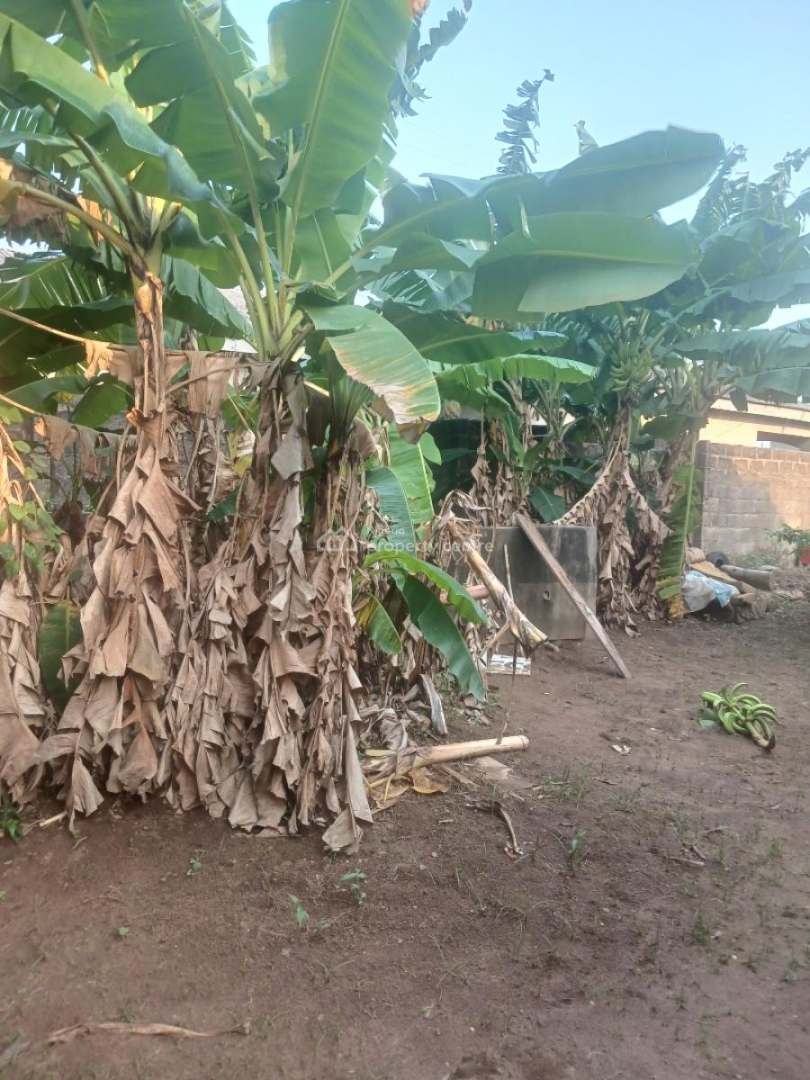 4 Bedroom Bungalow, Ipaja, Ayobo, Lagos, Detached Bungalow for Sale