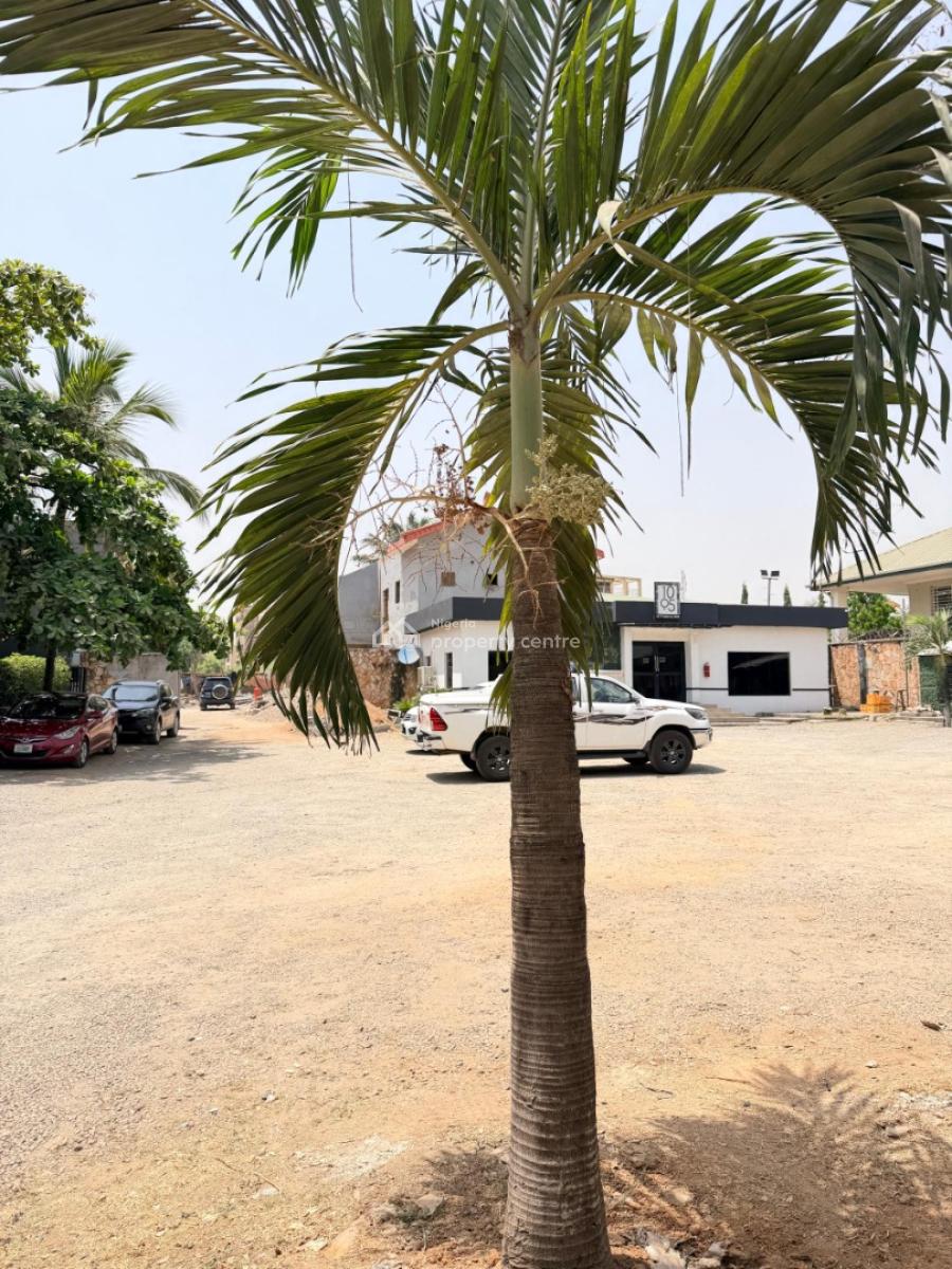 Mixed Use Land 3,000 Sqm, Jabi, Abuja, Land for Sale