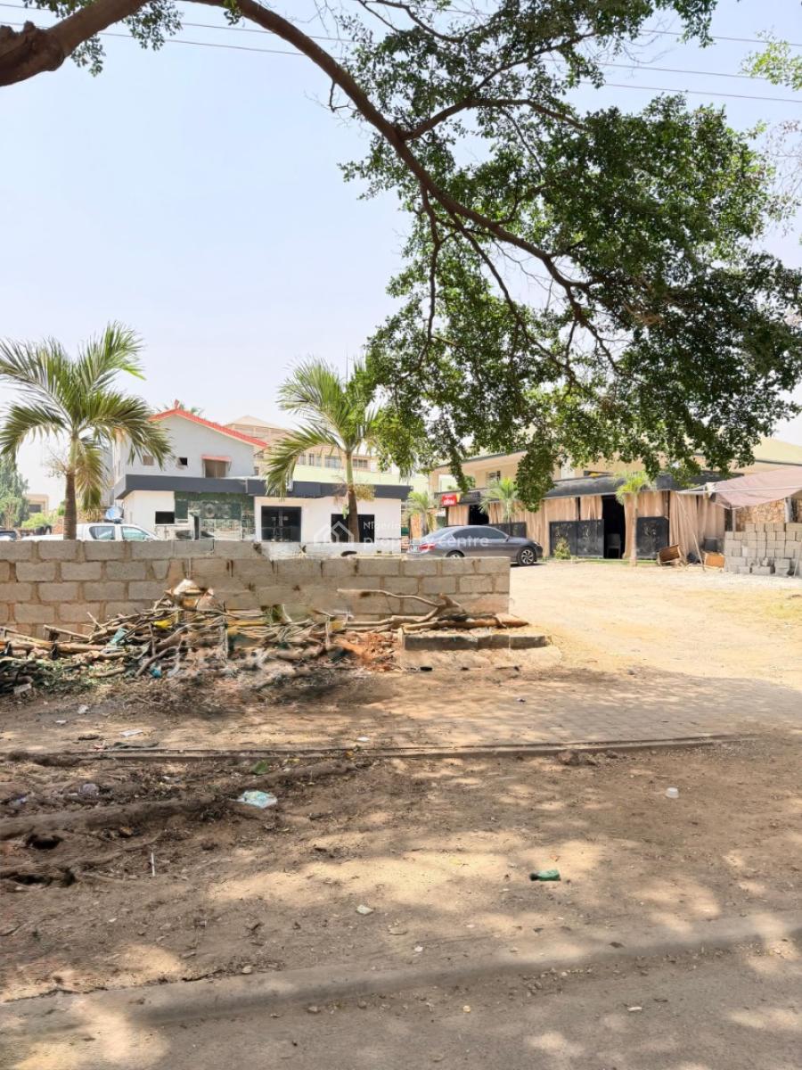 Mixed Use Land 3,000 Sqm, Jabi, Abuja, Land for Sale
