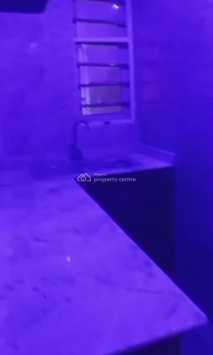 Newly Built Spacious Ready to Move in One Bedroom Apartment, Itire-ikate, Surulere, Lagos, Mini Flat (room and Parlour) for Rent