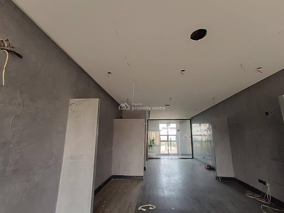 Luxury Commercial Space, Ademola Adetumbo Crescent, Wuse 2, Abuja, Office Space for Rent