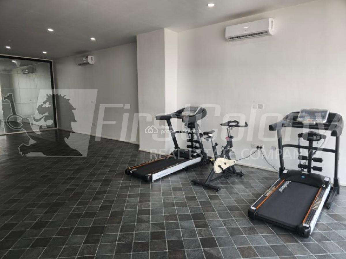 Furnished 2 Bedroom Luxury Apartment with Excellent Facilities, Old Ikoyi, Ikoyi, Lagos, Flat / Apartment for Rent