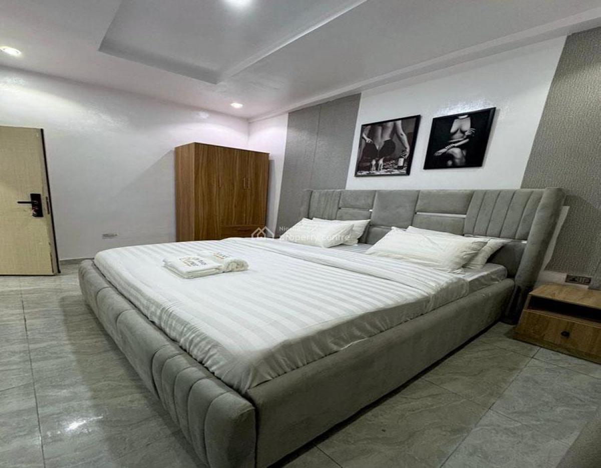 Nicely Furnished 2 Bedroom Apartment, Surulere, Lagos, Flat / Apartment Short Let