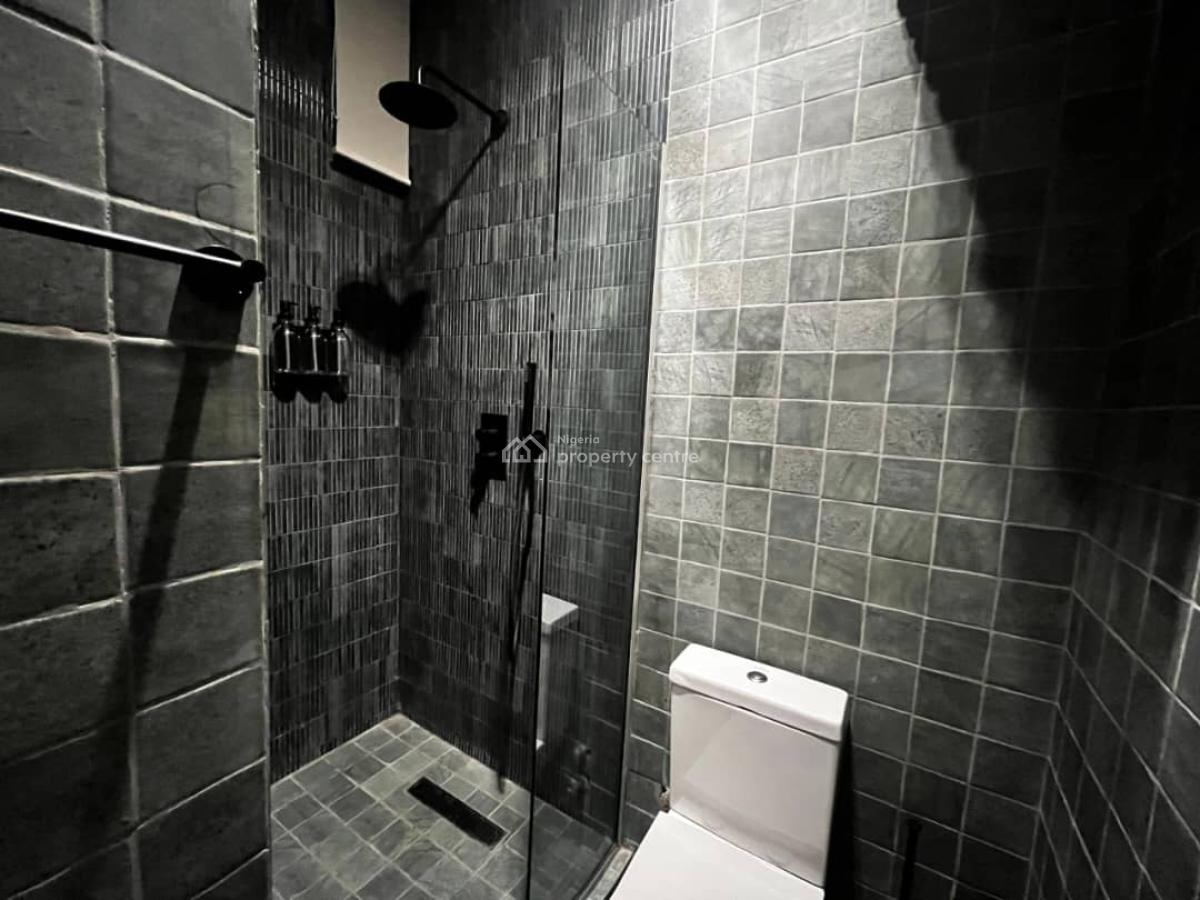 a Serviced 2 Bedroom Fully Furnished Apartment, Ikoyi, Lagos, House for Rent