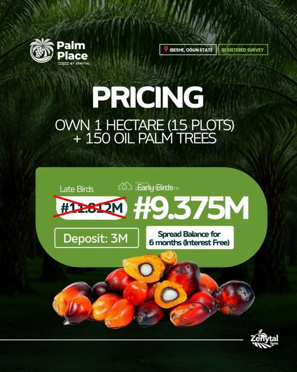 Oil Farm Land Selling Now, Palm Place, Ibeshe, Km 46, Ogun, Industrial Land for Sale