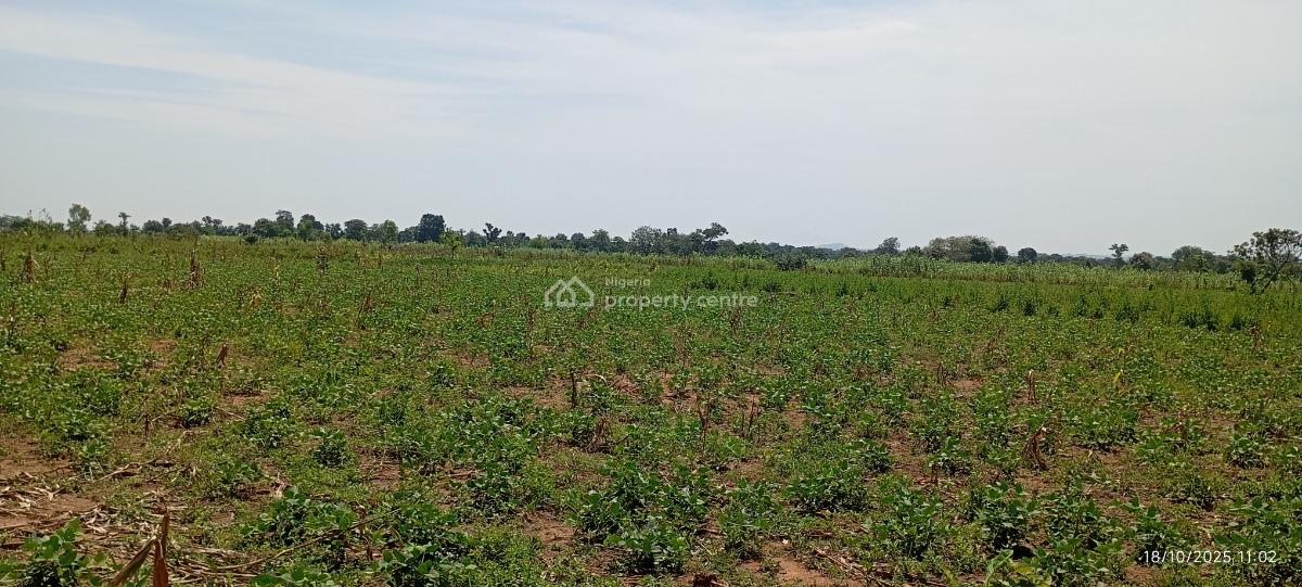 3 Hectares of Farmland, Karu Lga, Nasarawa State, Nigeria., Karu, Nasarawa, Mixed-use Land for Sale