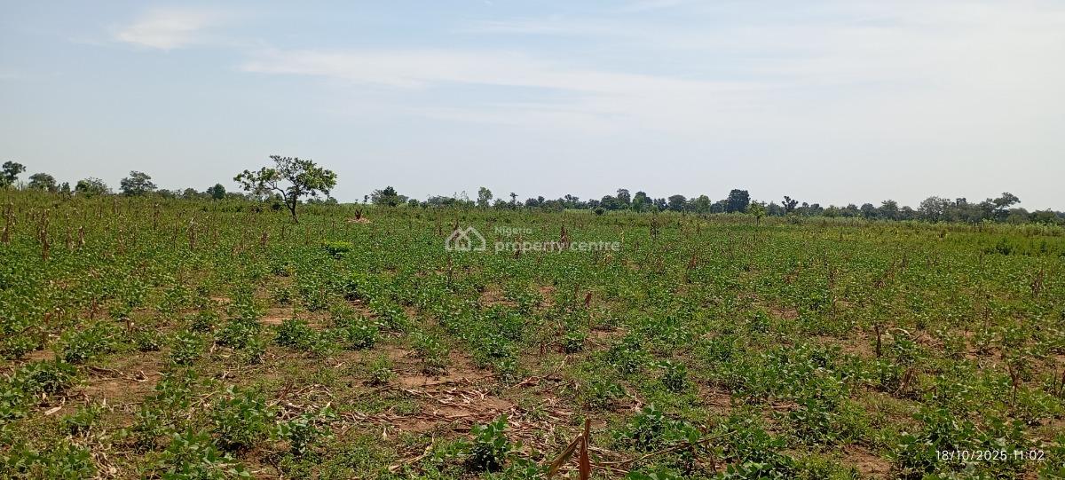 3 Hectares of Farmland, Karu Lga, Nasarawa State, Nigeria., Karu, Nasarawa, Mixed-use Land for Sale
