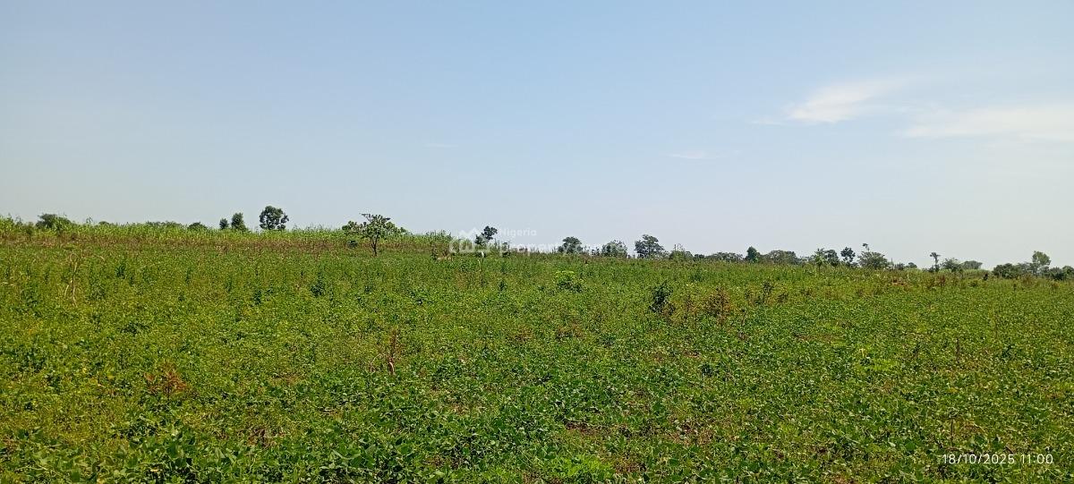3 Hectares of Farmland, Karu Lga, Nasarawa State, Nigeria., Karu, Nasarawa, Mixed-use Land for Sale