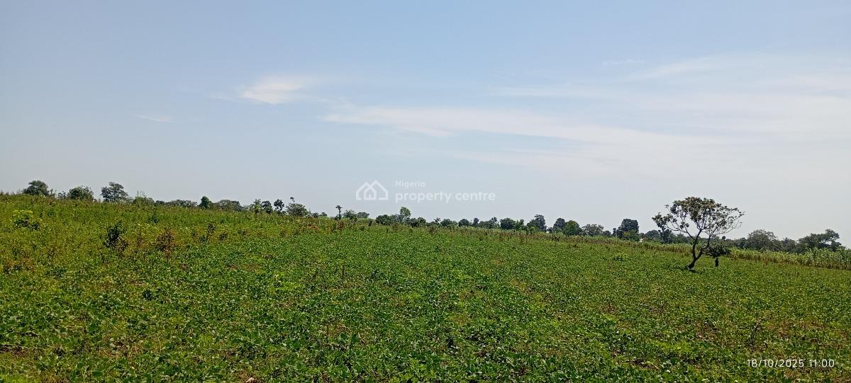3 Hectares of Farmland, Karu Lga, Nasarawa State, Nigeria., Karu, Nasarawa, Mixed-use Land for Sale