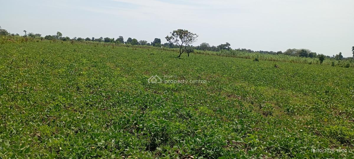 3 Hectares of Farmland, Karu Lga, Nasarawa State, Nigeria., Karu, Nasarawa, Mixed-use Land for Sale