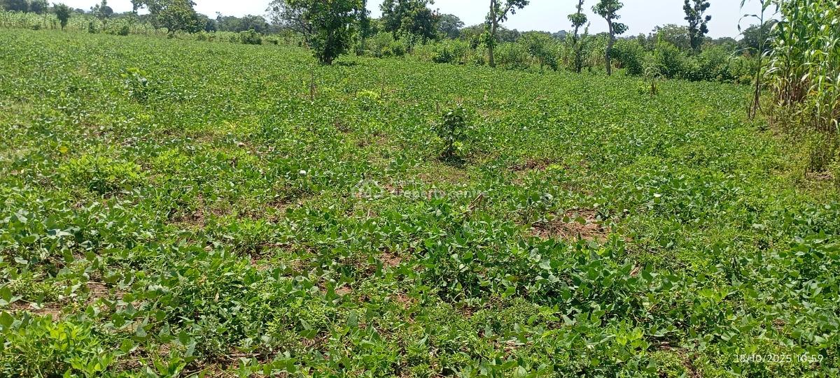 3 Hectares of Farmland, Karu Lga, Nasarawa State, Nigeria., Karu, Nasarawa, Mixed-use Land for Sale