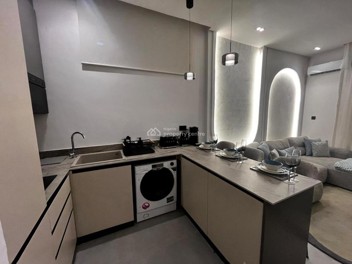 Beautiful 2 Bedroom Fully Furnished Apartment, Ikoyi, Lagos, Flat / Apartment for Rent