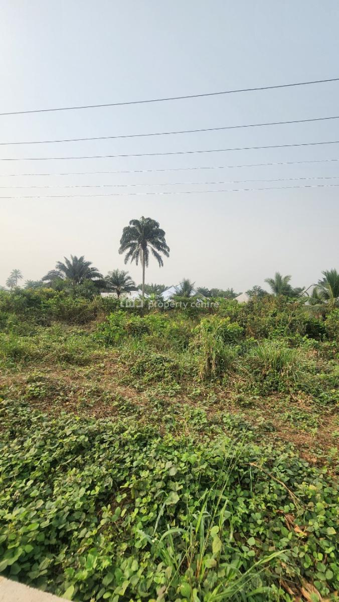 a Fantastic Parcel of Land, Along Airport Road By Airport Junction, Uyo, Akwa Ibom, Commercial Land for Sale
