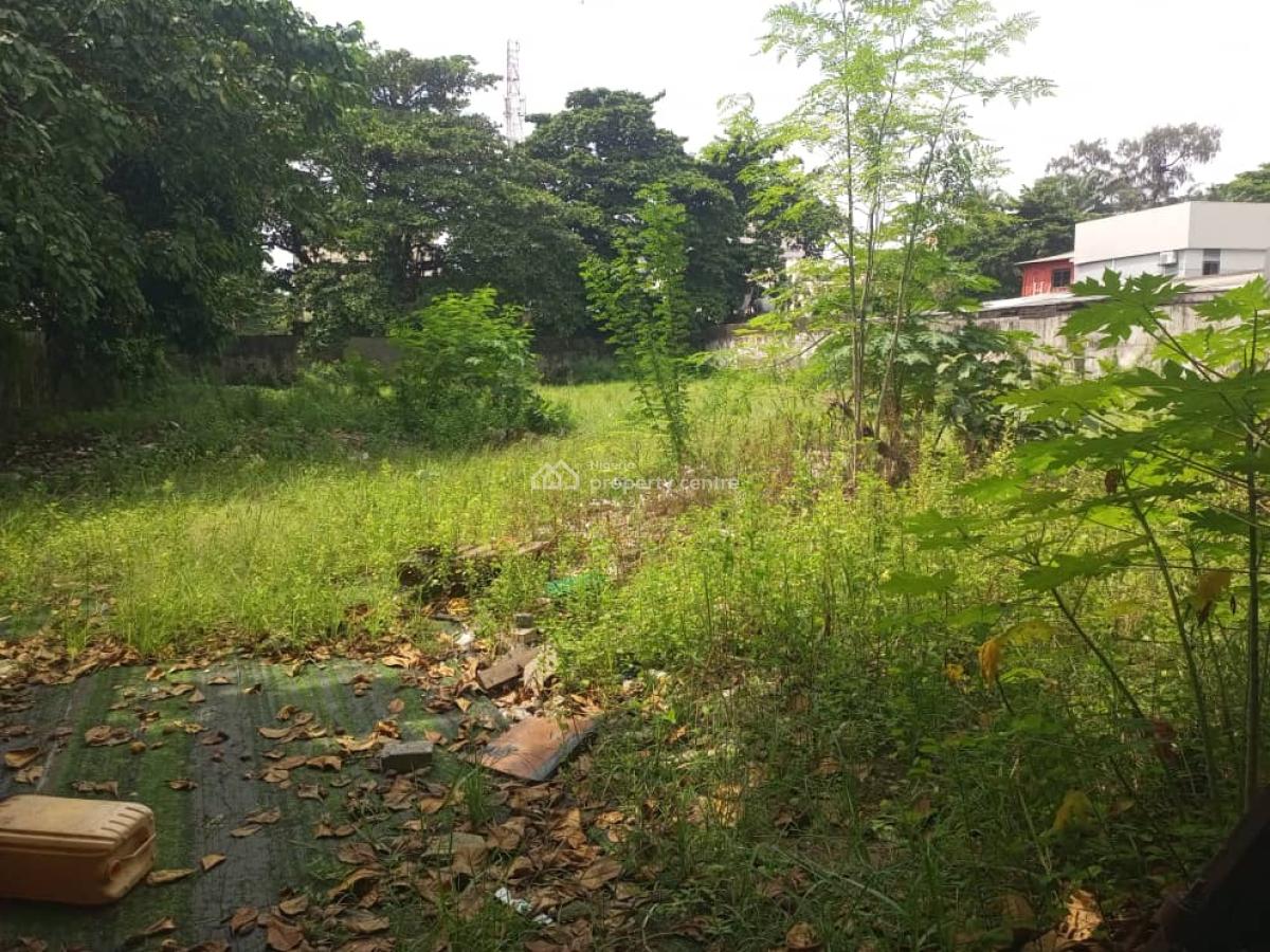 1650sqm Bareland in a Good Location, Off Adeola Odeku, Victoria Island (vi), Lagos, Land for Sale