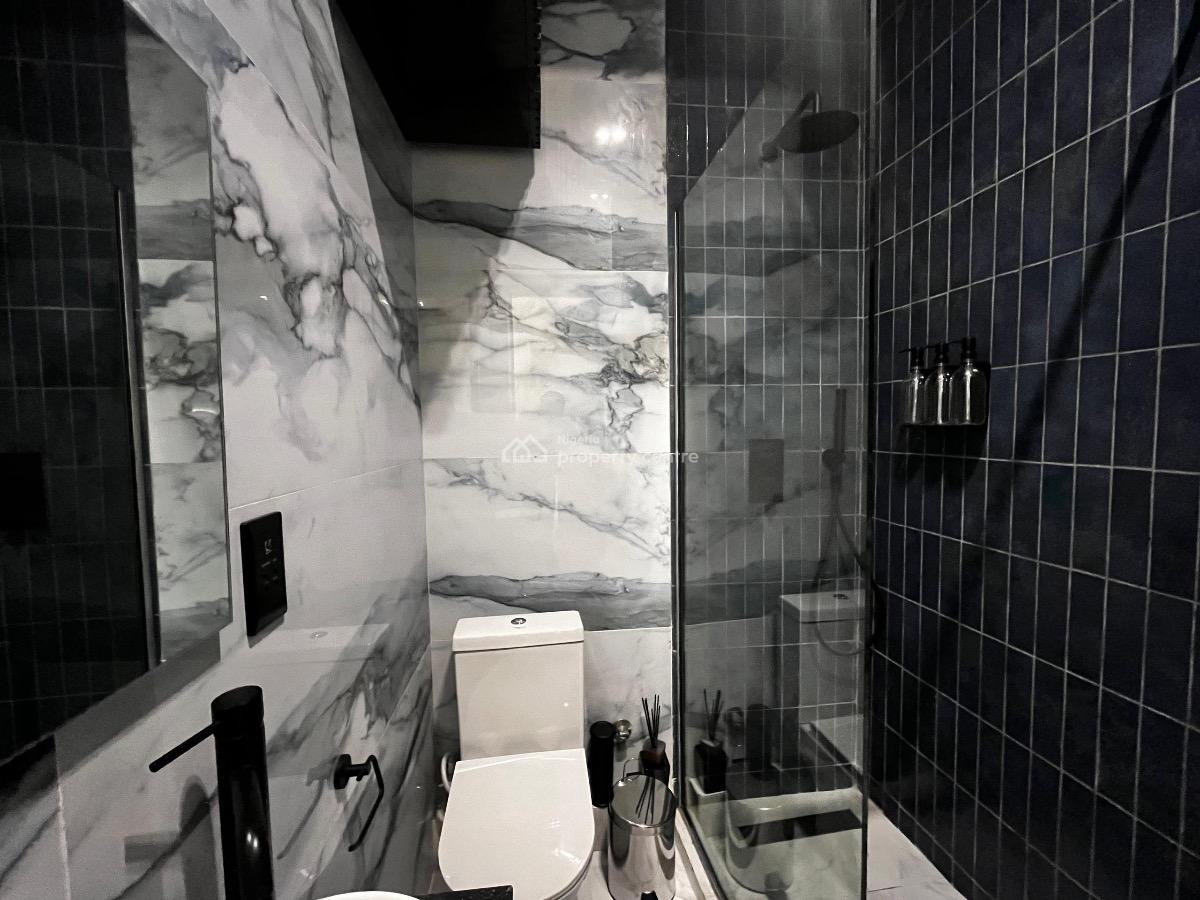 Enjoy 2 Bedroom Luxury Flat in a Secured and Serviced Apartment, Old Ikoyi, Ikoyi, Lagos, Flat / Apartment for Rent