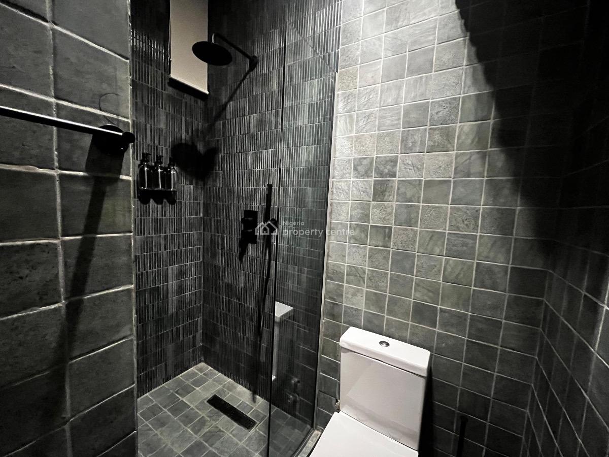 Enjoy 2 Bedroom Luxury Flat in a Secured and Serviced Apartment, Old Ikoyi, Ikoyi, Lagos, Flat / Apartment for Rent