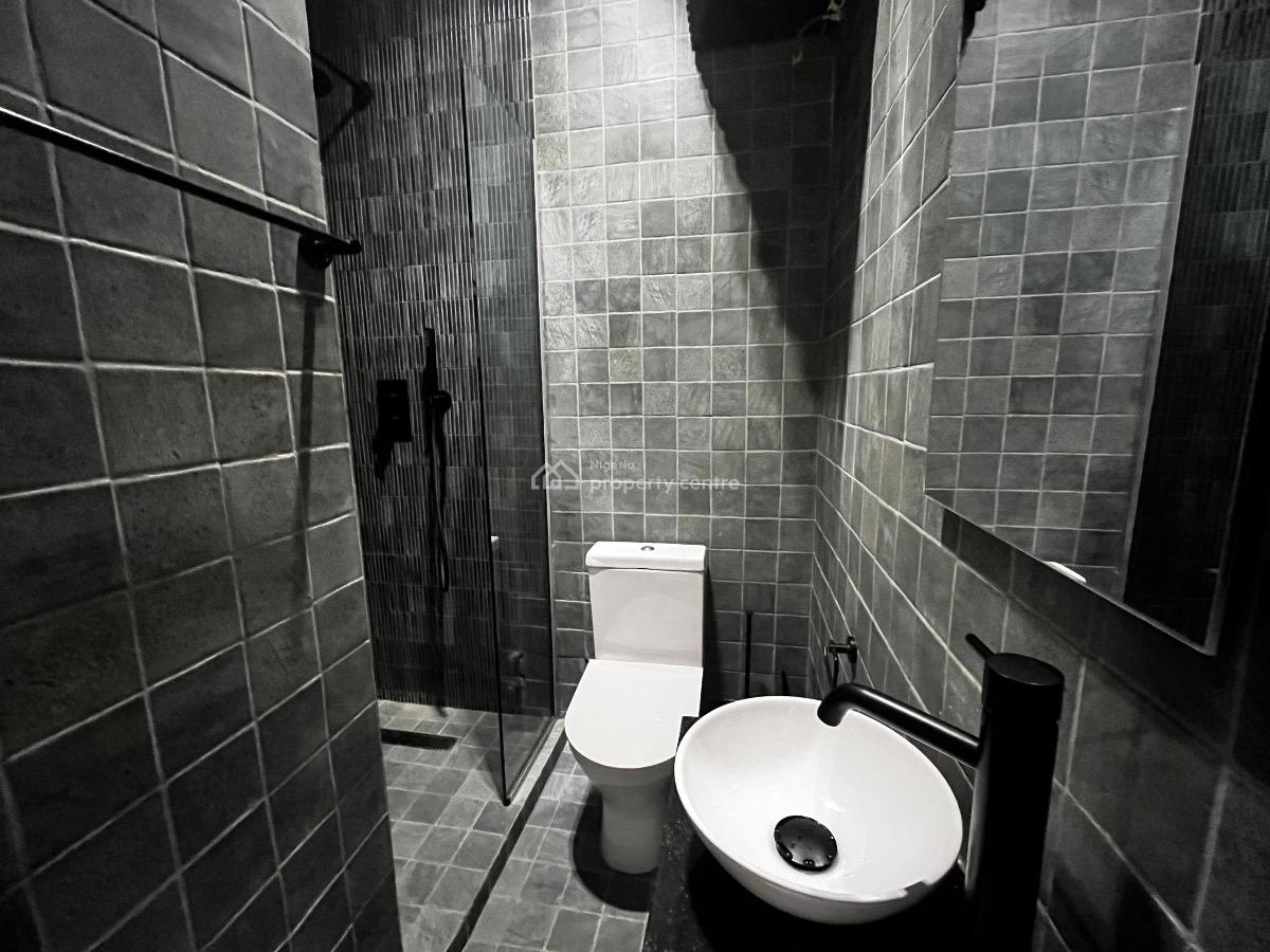 Enjoy 2 Bedroom Luxury Flat in a Secured and Serviced Apartment, Old Ikoyi, Ikoyi, Lagos, Flat / Apartment for Rent