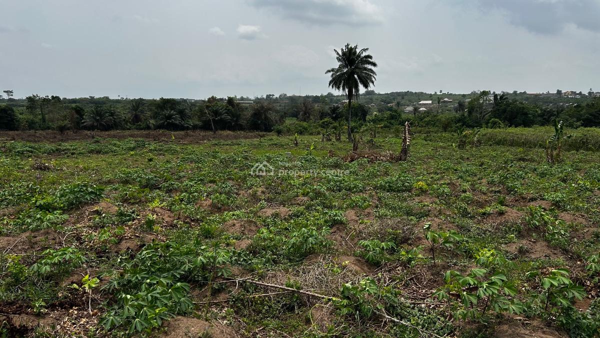 Residential Land, The Plg Estate with C of O, Ijebu East, Ogun, Residential Land for Sale
