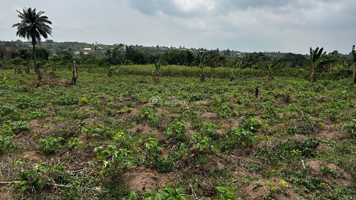 Residential Land, The Plg Estate with C of O, Ijebu East, Ogun, Residential Land for Sale