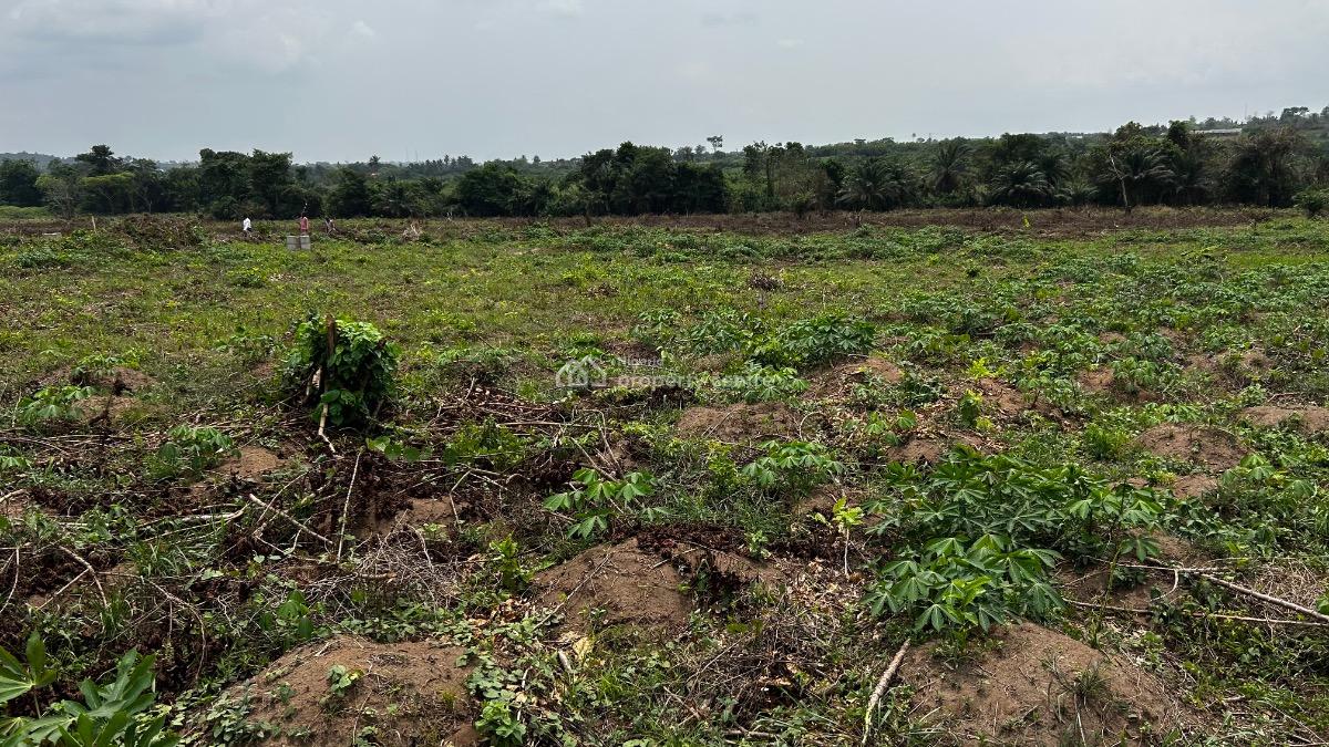 Residential Land, The Plg Estate with C of O, Ijebu East, Ogun, Residential Land for Sale