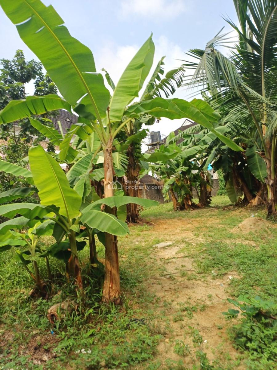 Fenced Plot of Land, New Road Ada George, Port Harcourt, Rivers, Residential Land for Sale