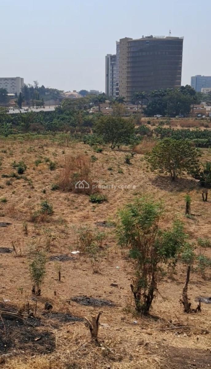 4.5 Hectares, Opposite Sahad Stores, Central Business District, Abuja, Commercial Land for Sale