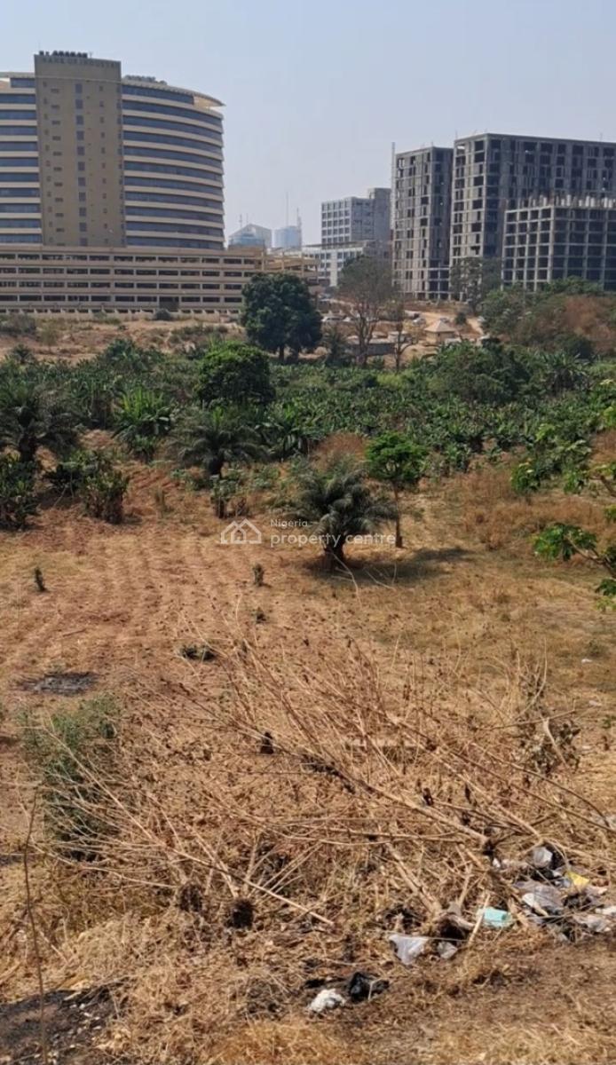 4.5 Hectares, Opposite Sahad Stores, Central Business District, Abuja, Commercial Land for Sale