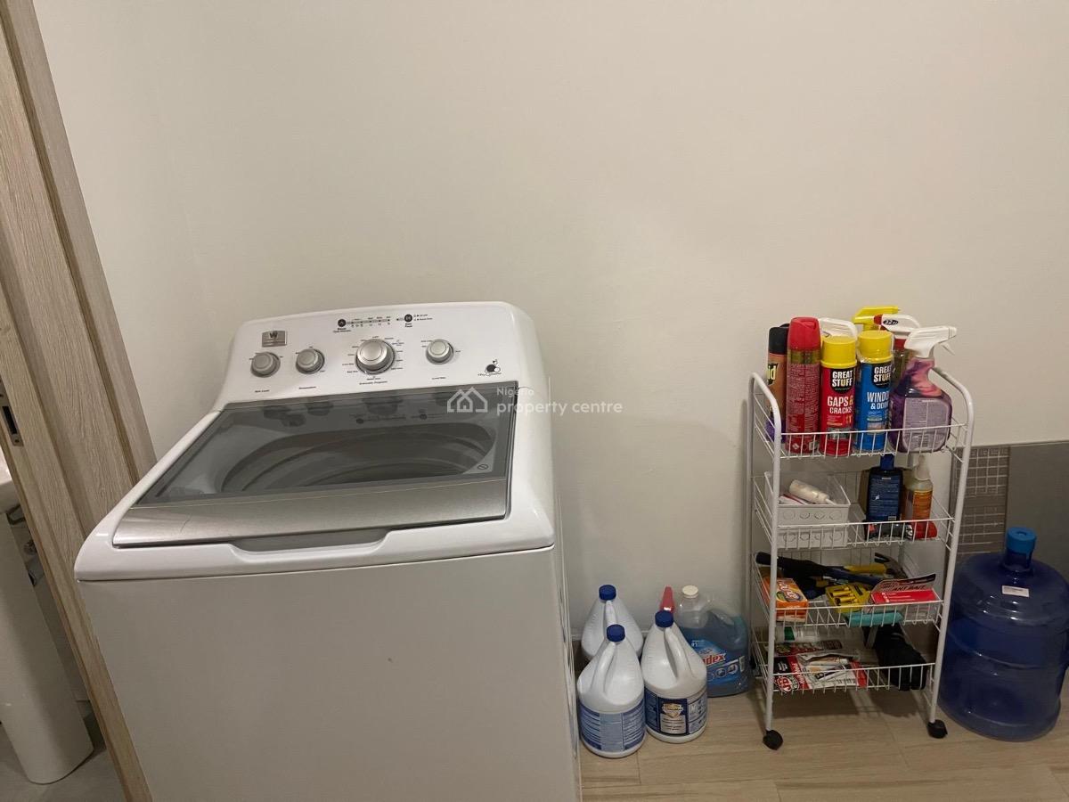 Newly Built Outstanding and Fully Serviced 4-bedroom Duplex, Meadow Hallway, Ikate, Lekki, Lagos, Detached Duplex for Rent