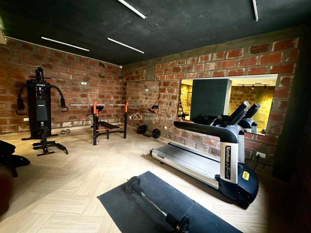 Newly Built Outstanding and Fully Serviced 4-bedroom Duplex, Meadow Hallway, Ikate, Lekki, Lagos, Detached Duplex for Rent