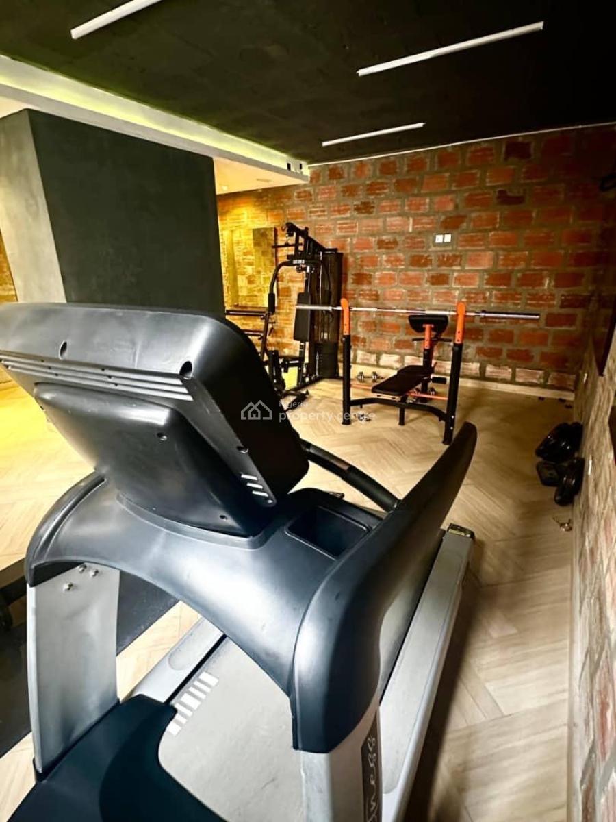 Newly Built Outstanding and Fully Serviced 4-bedroom Duplex, Meadow Hallway, Ikate, Lekki, Lagos, Detached Duplex for Rent