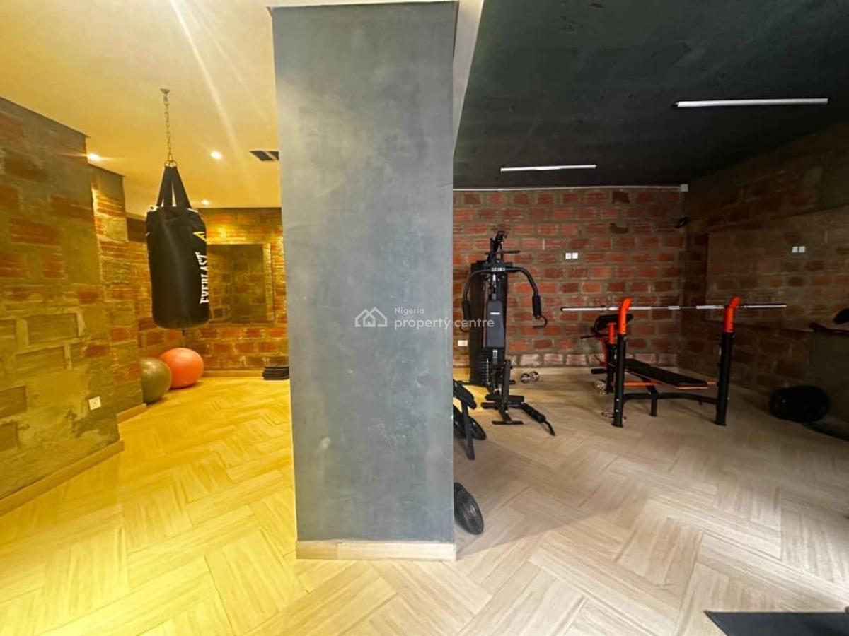 Newly Built Outstanding and Fully Serviced 4-bedroom Duplex, Meadow Hallway, Ikate, Lekki, Lagos, Detached Duplex for Rent