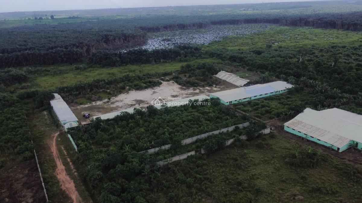 Farmland, Epe, Lagos, Commercial Land for Sale