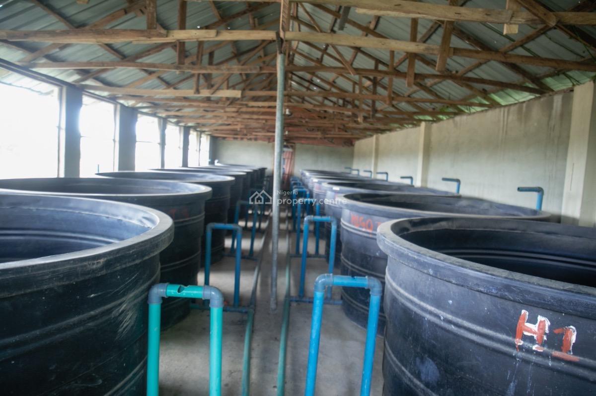 Farmland, Epe, Lagos, Commercial Land for Sale