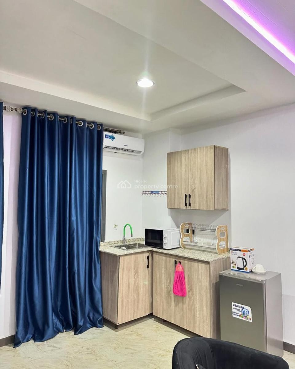 Nicely Furnished 1 Bedroom Apartment, Asokoro District, Abuja, Mini Flat (room and Parlour) Short Let