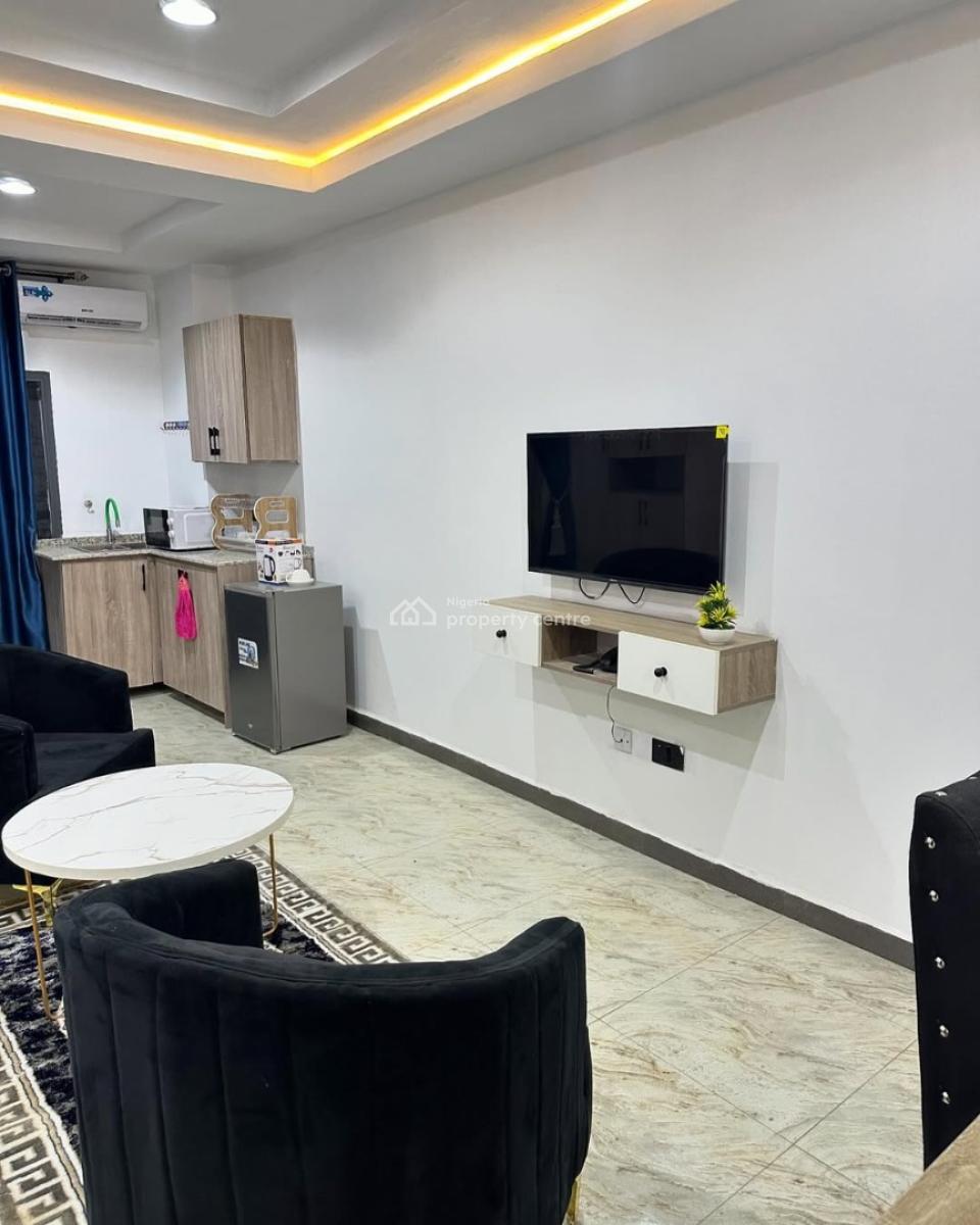 Nicely Furnished 1 Bedroom Apartment, Asokoro District, Abuja, Mini Flat (room and Parlour) Short Let