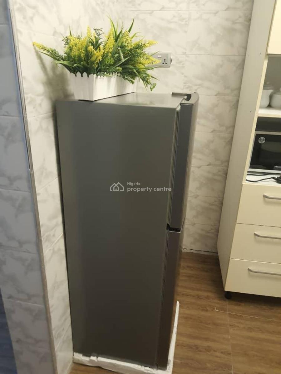 Beautifully Furnished 2 Bedroom Apartment, Aguda, Surulere, Lagos, Flat / Apartment for Rent