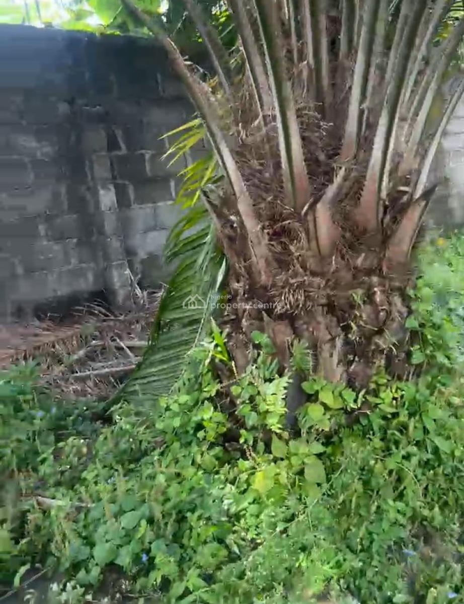 Readily Full Plot of Land, Greenville Estate, Badore, Ajah, Lagos, Residential Land for Sale