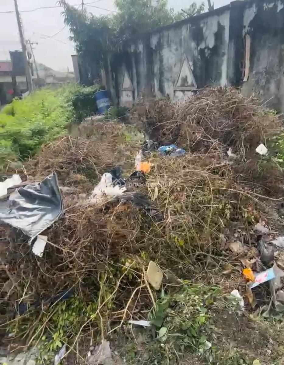 Readily Full Plot of Land, Greenville Estate, Badore, Ajah, Lagos, Residential Land for Sale