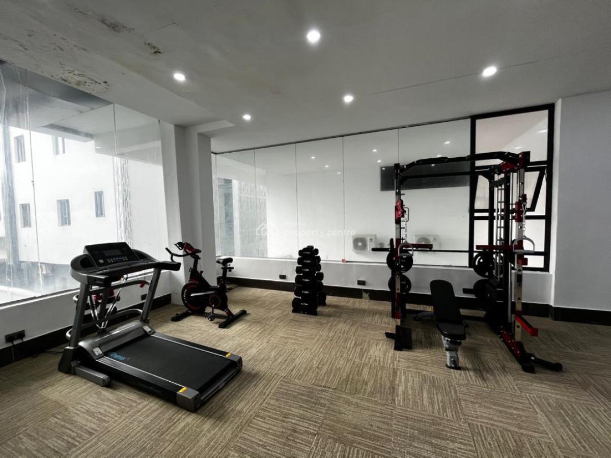 Luxuriously Furnished 2 Bedroom Apartment, Ikoyi, Ikoyi, Lagos, Flat / Apartment for Rent