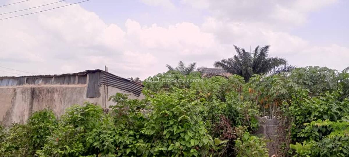 Two Standard Plots of Land in a Developed Area, Lusada Agbara, Off Lagos-badagry Expressway, Agbara-igbesa, Lagos, Residential Land for Sale