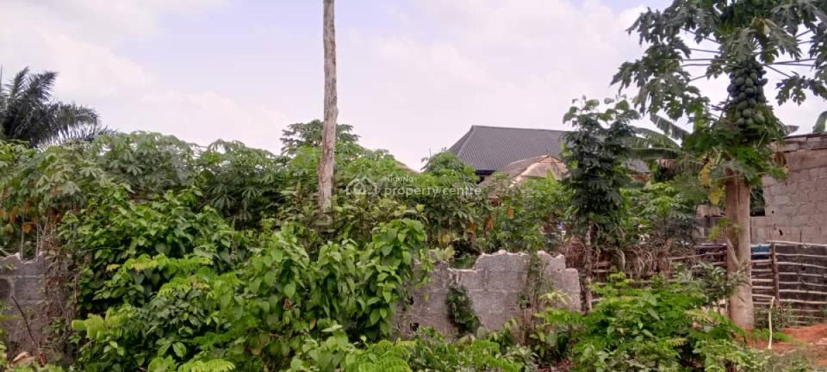 Two Standard Plots of Land in a Developed Area, Lusada Agbara, Off Lagos-badagry Expressway, Agbara-igbesa, Lagos, Residential Land for Sale