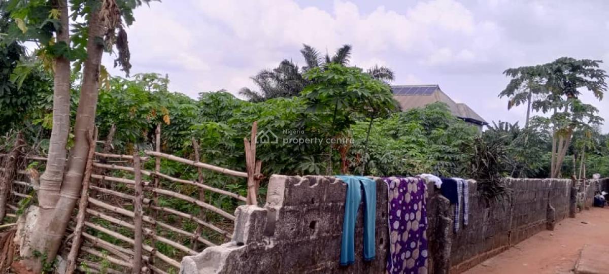 Two Standard Plots of Land in a Developed Area, Lusada Agbara, Off Lagos-badagry Expressway, Agbara-igbesa, Lagos, Residential Land for Sale