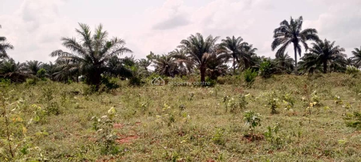 Dry Acres of Land in a Developing Area, Lusada Agbara, Along Lagos Badagry Expressway, Agbara, Ado-odo/ota, Ogun, Residential Land for Sale