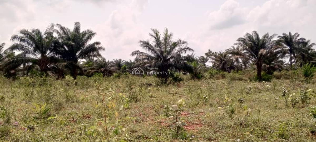 Dry Acres of Land in a Developing Area, Lusada Agbara, Along Lagos Badagry Expressway, Agbara, Ado-odo/ota, Ogun, Residential Land for Sale