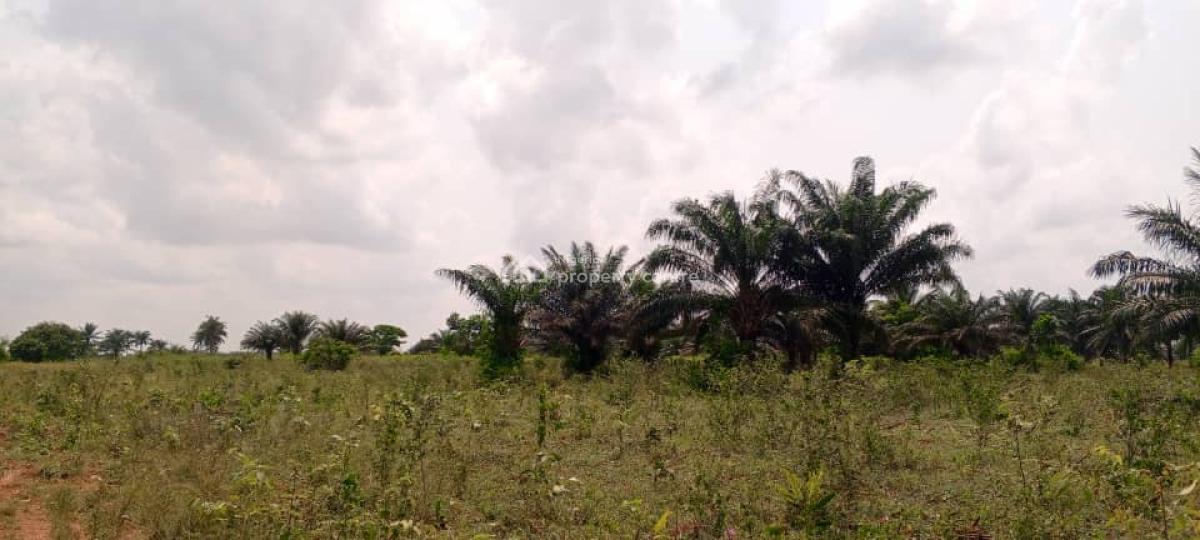 Dry Acres of Land in a Developing Area, Lusada Agbara, Along Lagos Badagry Expressway, Agbara, Ado-odo/ota, Ogun, Residential Land for Sale
