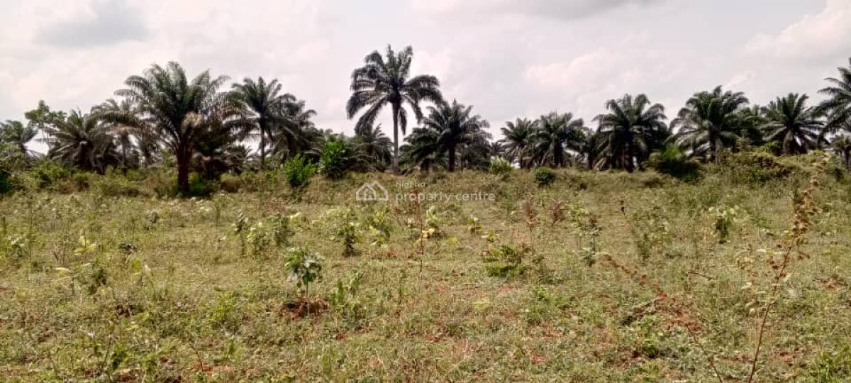Dry Acres of Land in a Developing Area, Lusada Agbara, Along Lagos Badagry Expressway, Agbara, Ado-odo/ota, Ogun, Residential Land for Sale