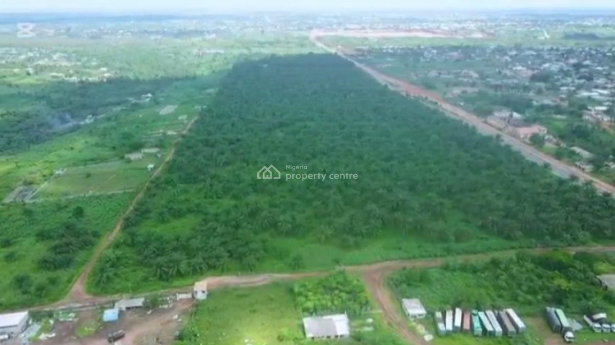 82,817 Acres of Palm Trees Farm Land, Agbara-atan Road, Abeokuta South, Ogun, Commercial Land for Sale